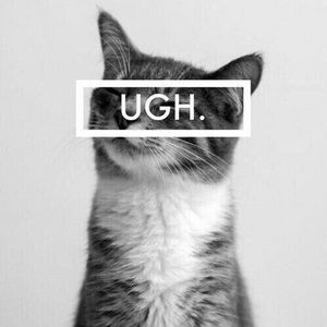 Meet your Posher, Imani